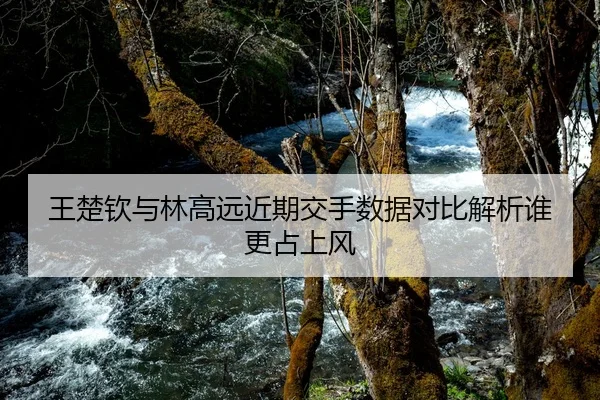 王楚钦与林高远近期交手数据对比解析谁更占上风