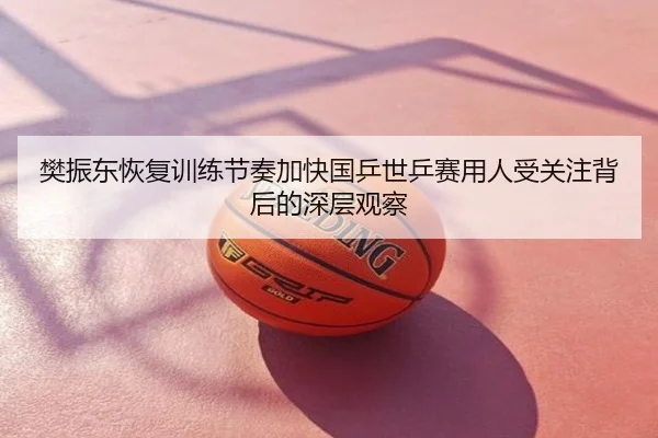 樊振东恢复训练节奏加快国乒世乒赛用人受关注背后的深层观察