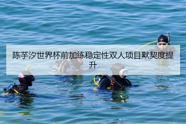 陈芋汐世界杯前加练稳定性双人项目默契度提升