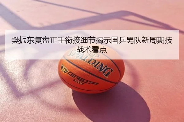 樊振东复盘正手衔接细节揭示国乒男队新周期技战术看点