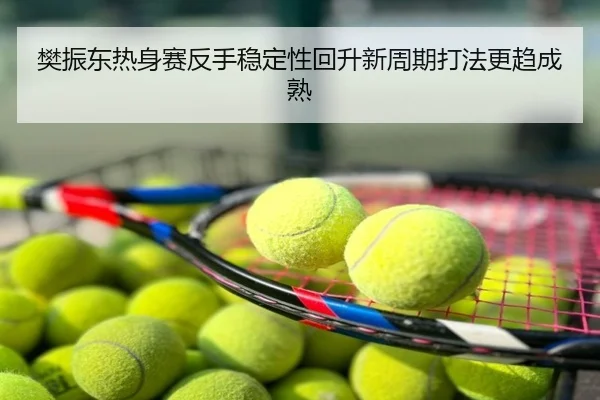 樊振东热身赛反手稳定性回升新周期打法更趋成熟